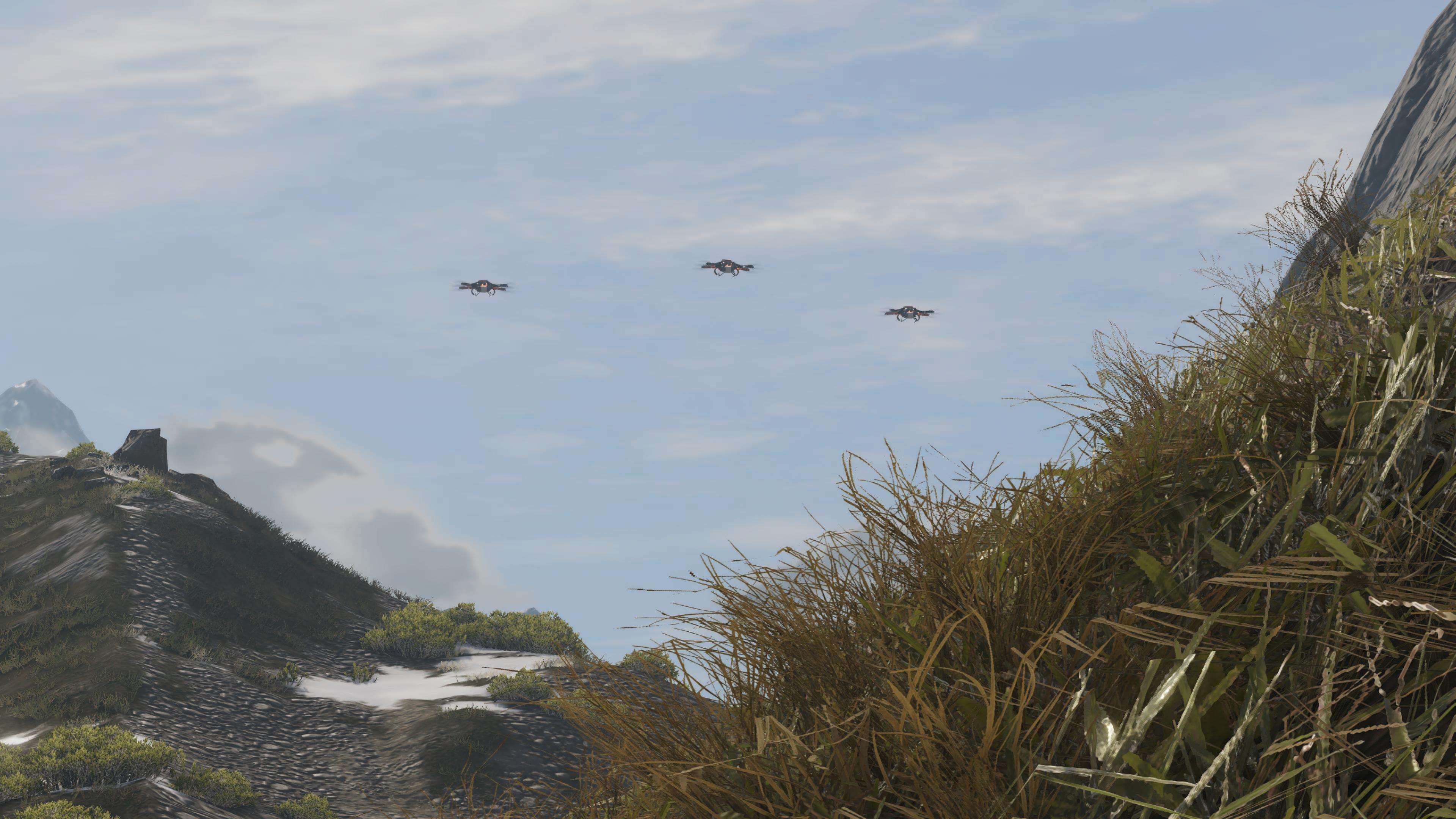 Crown Mountain drone patrol reference
